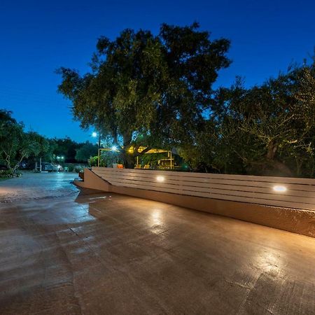 טרגקי Vasiliki Apartments מראה חיצוני תמונה