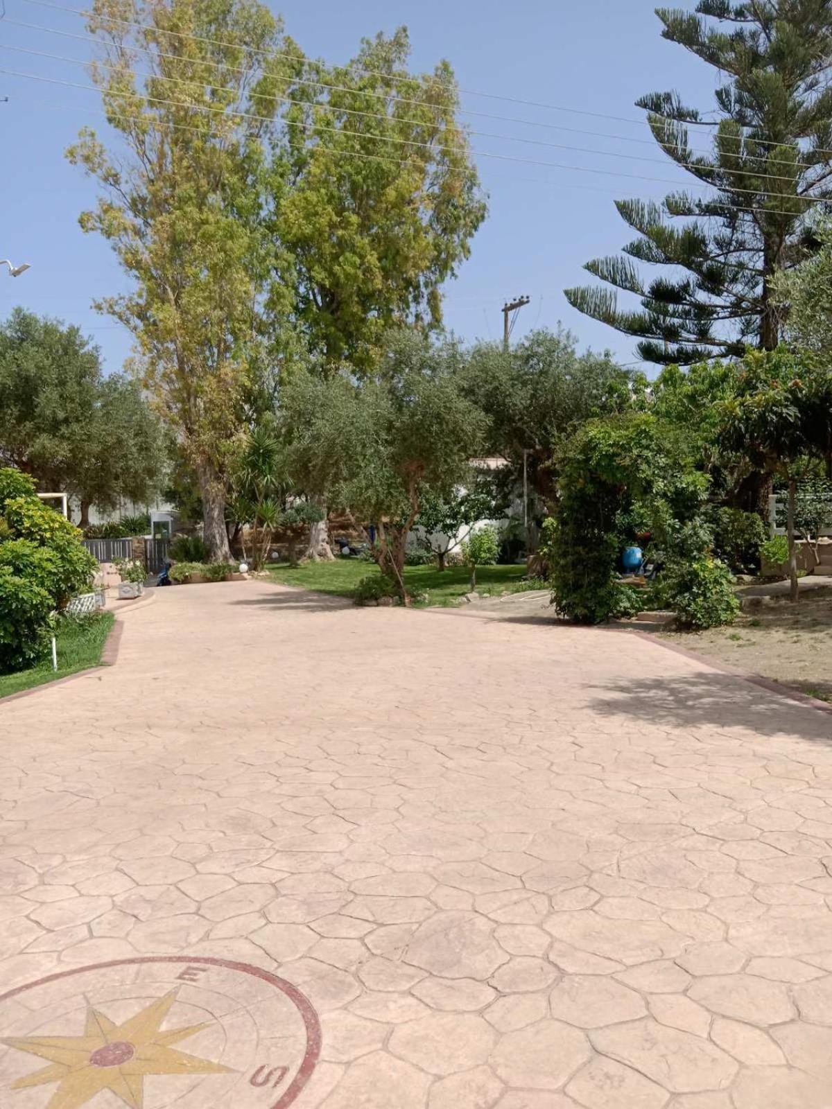 טרגקי Vasiliki Apartments מראה חיצוני תמונה