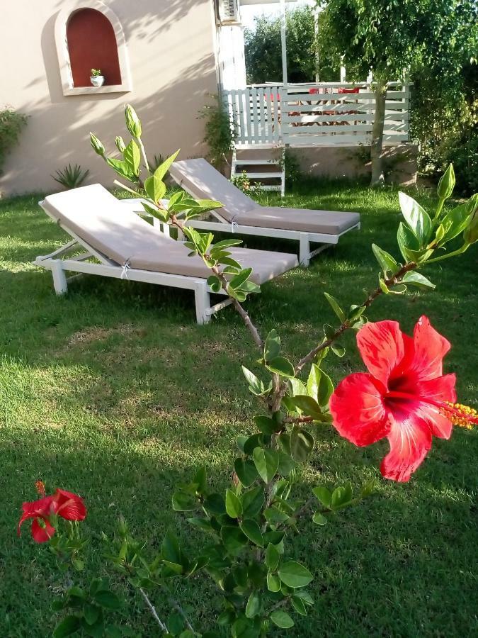 טרגקי Vasiliki Apartments מראה חיצוני תמונה