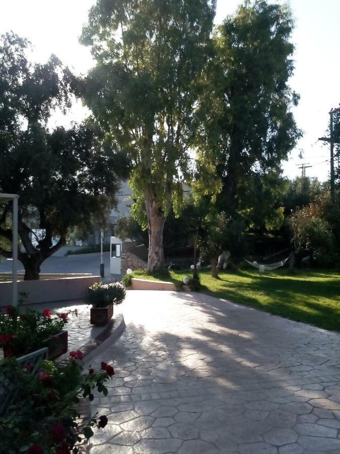 טרגקי Vasiliki Apartments מראה חיצוני תמונה