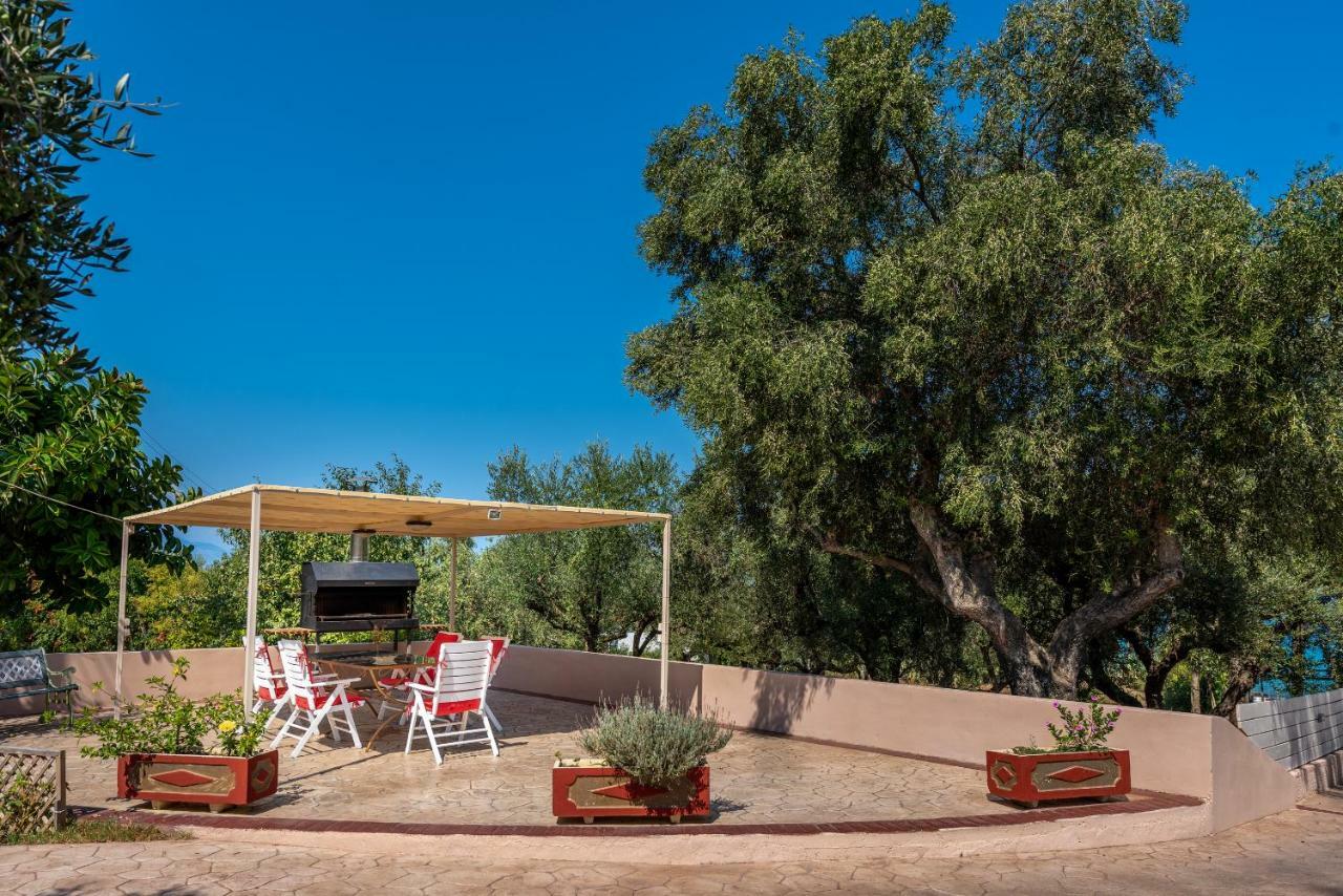 טרגקי Vasiliki Apartments מראה חיצוני תמונה