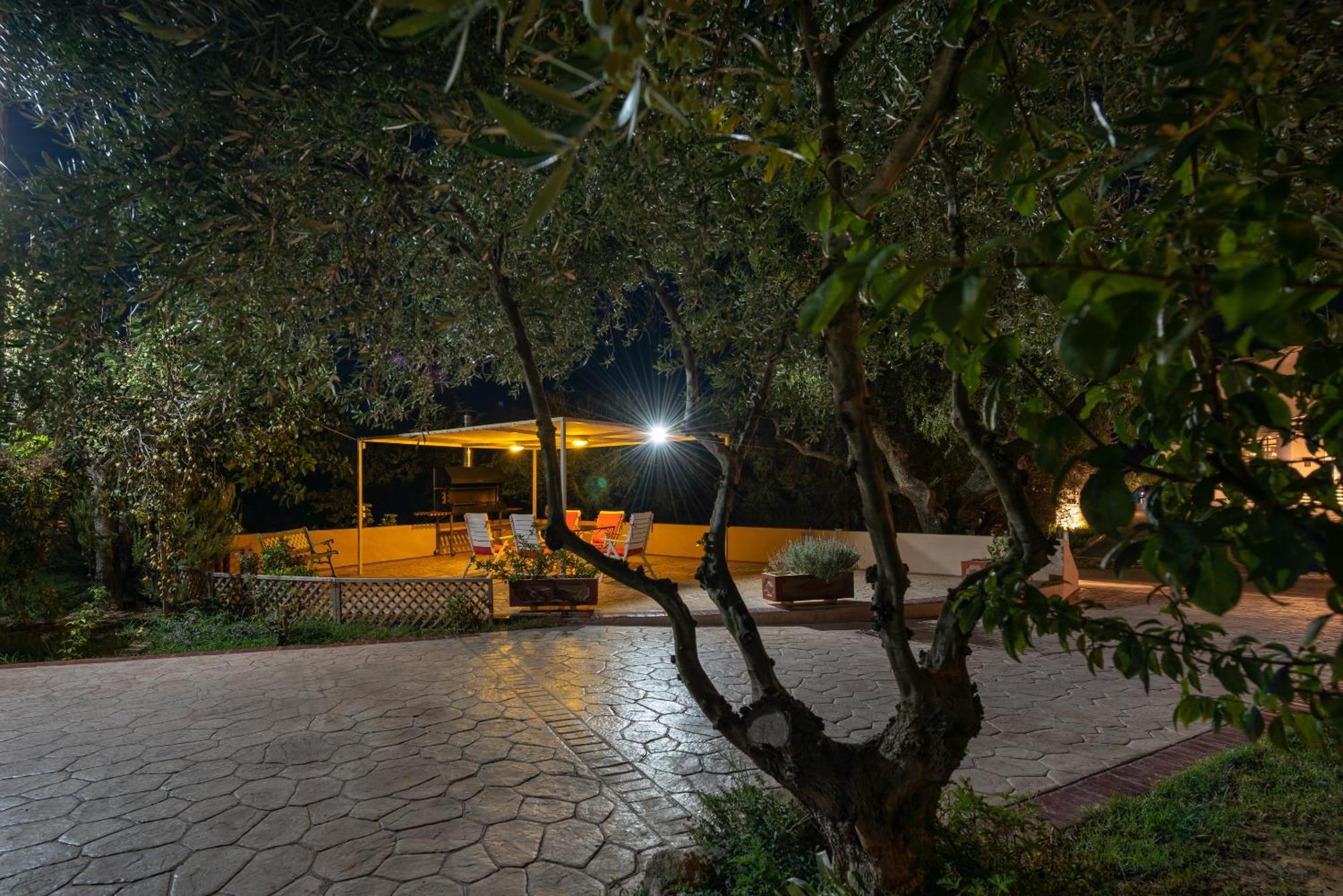 טרגקי Vasiliki Apartments מראה חיצוני תמונה