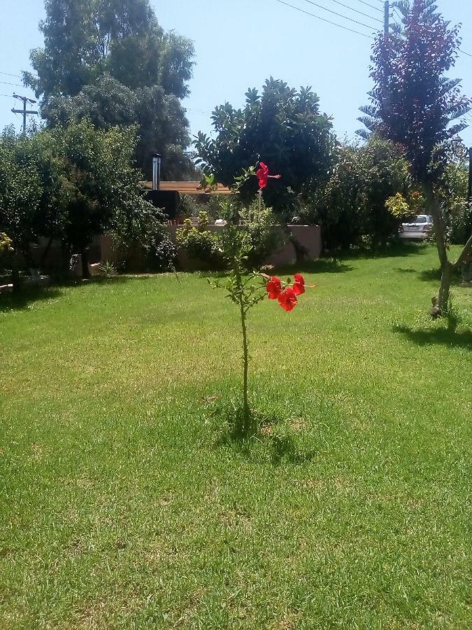 טרגקי Vasiliki Apartments מראה חיצוני תמונה