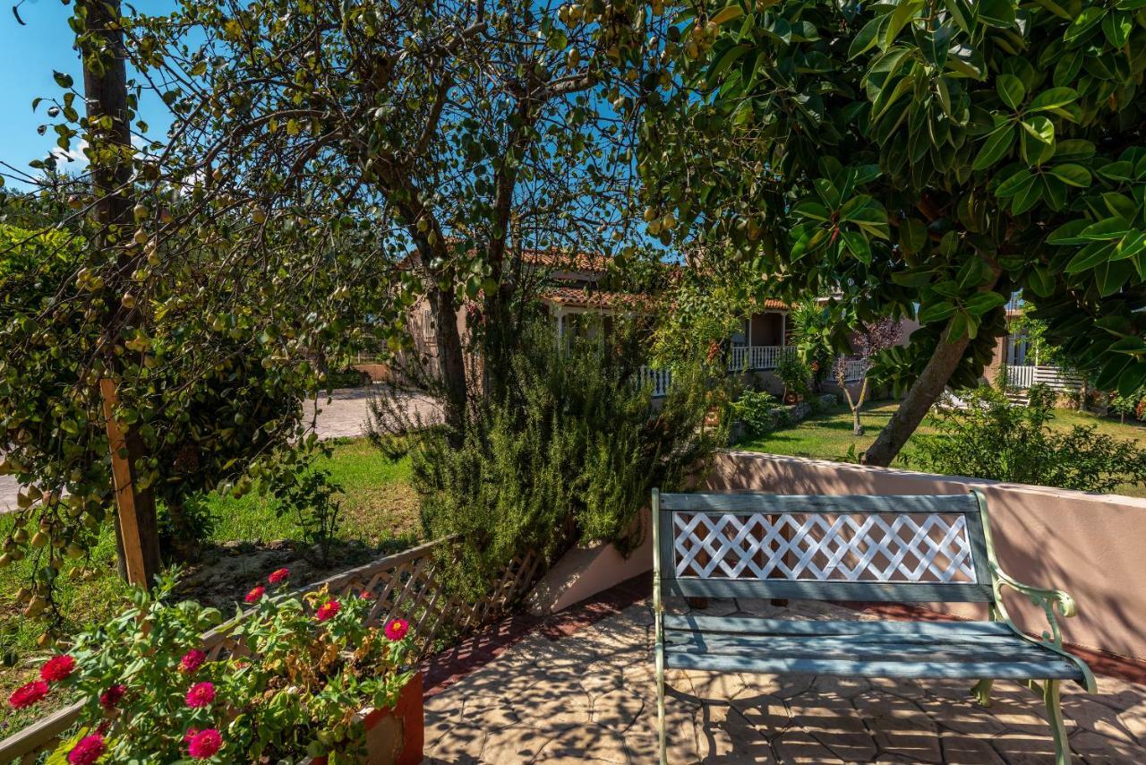 טרגקי Vasiliki Apartments מראה חיצוני תמונה